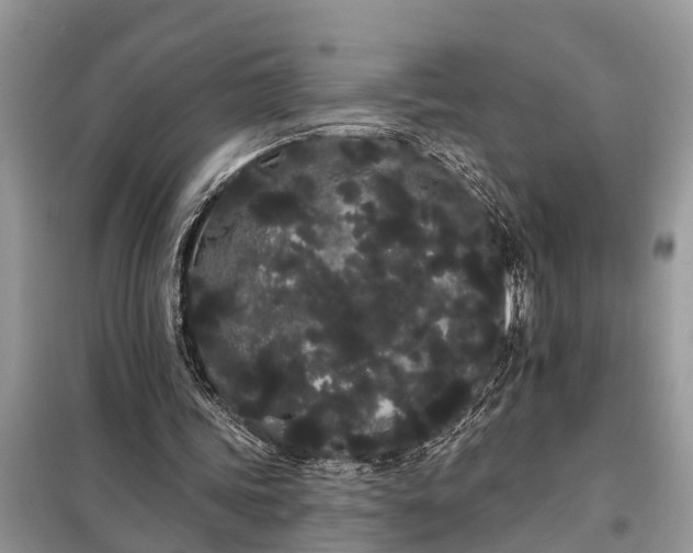 X0000097970339200804071104