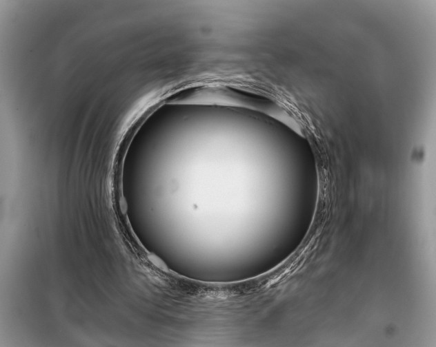 X0000097970340200804071104