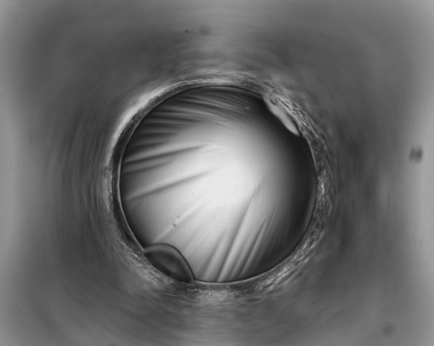 X0000097970342200804071104