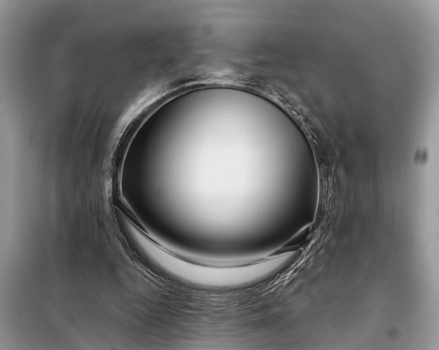 X0000097970344200804071104