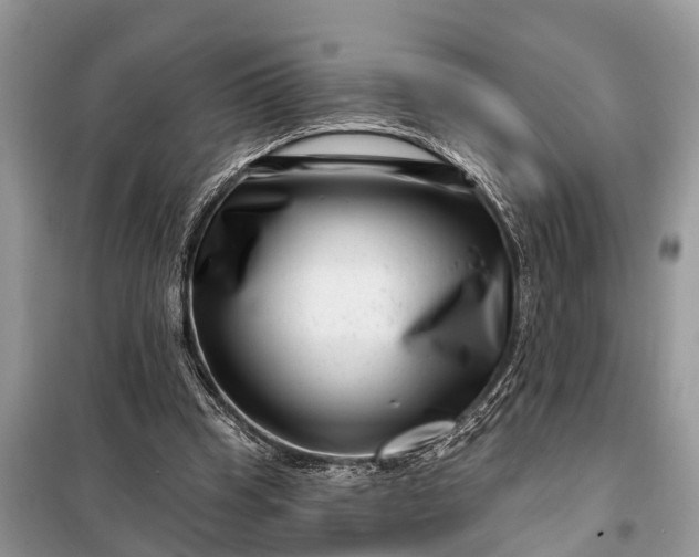 X0000097970345200804071104