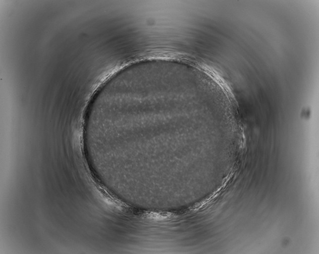 X0000097970346200804071104