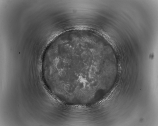 X0000097970347200804071104