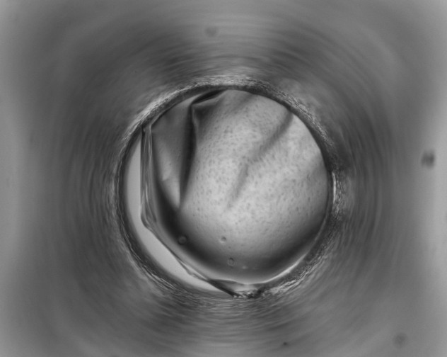 X0000097970348200804071104