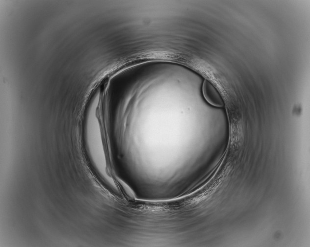 X0000097970349200804071104