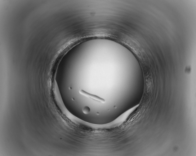 X0000097970350200804071104