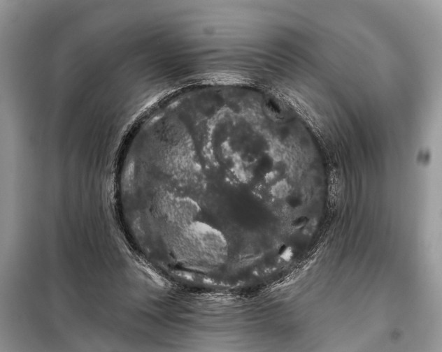 X0000097970351200804071104