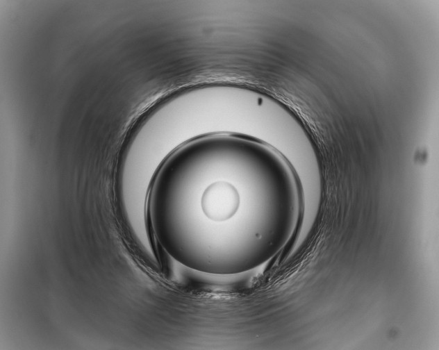 X0000097970352200804071104