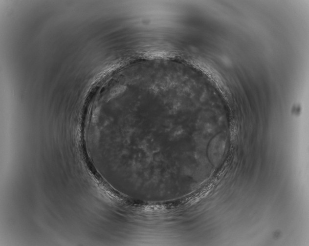 X0000097970353200804071104