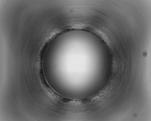 X0000097970354200804071104