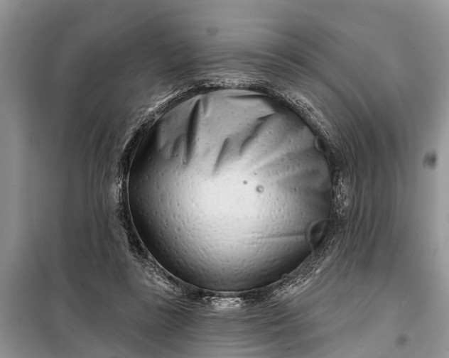 X0000097970355200804071104