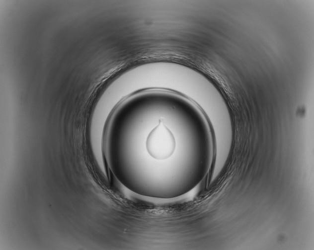 X0000097970356200804071104