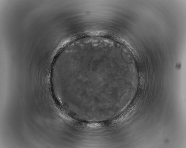 X0000097970357200804071104