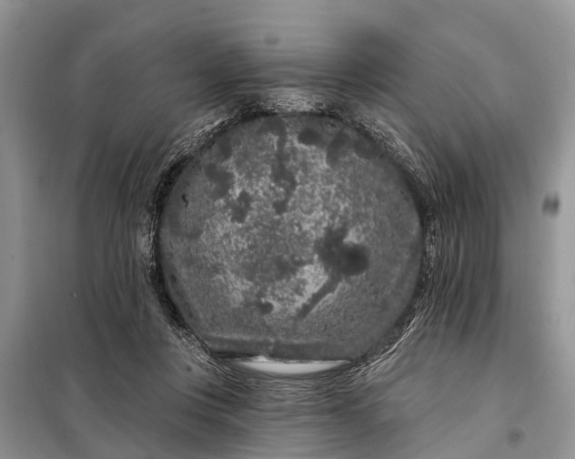 X0000097970359200804071104