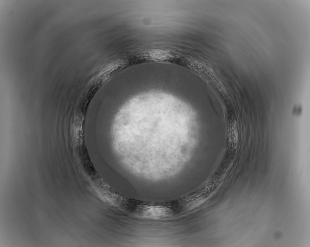 X0000097970360200804071104