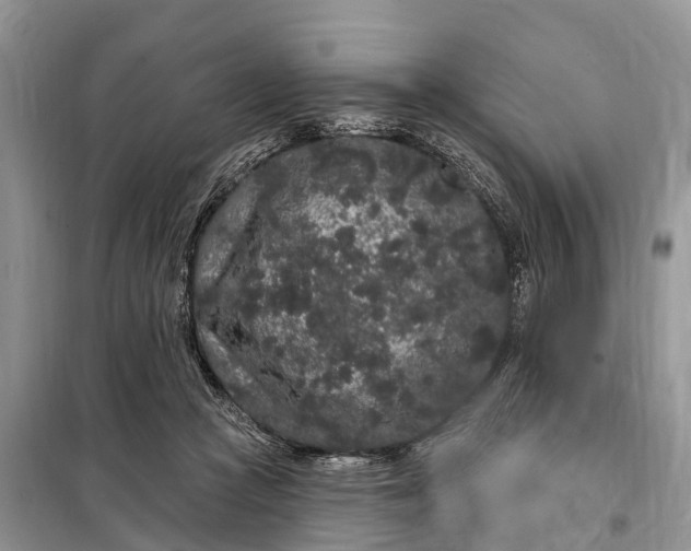 X0000097970361200804071104