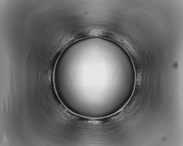 X0000097970363200804071104