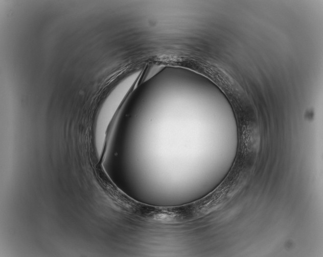 X0000097970364200804071104