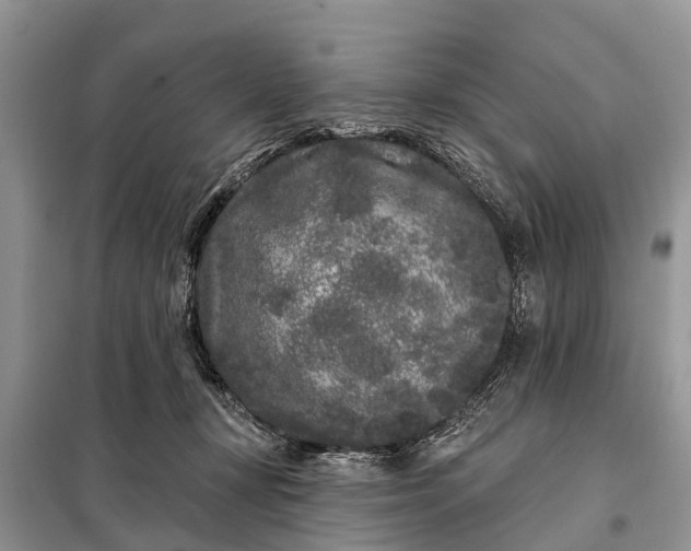 X0000097970367200804071104