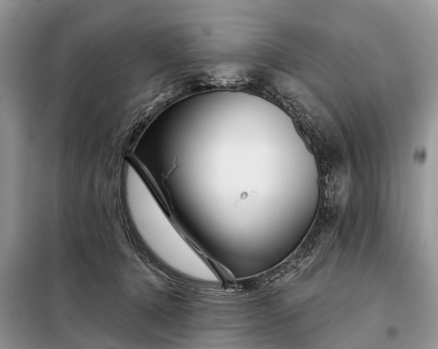 X0000097970368200804071104