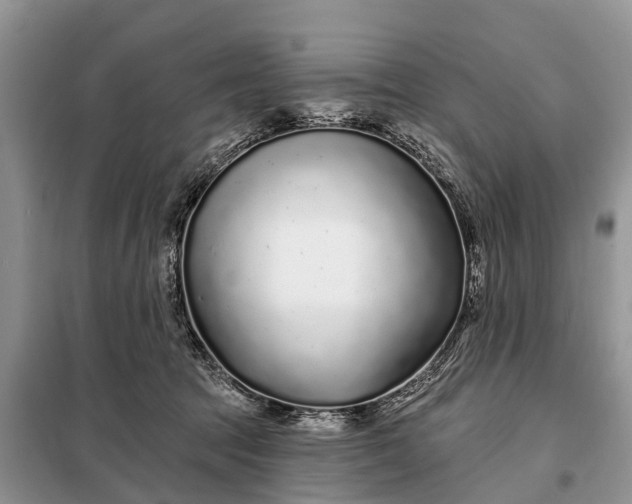 X0000097970369200804071104