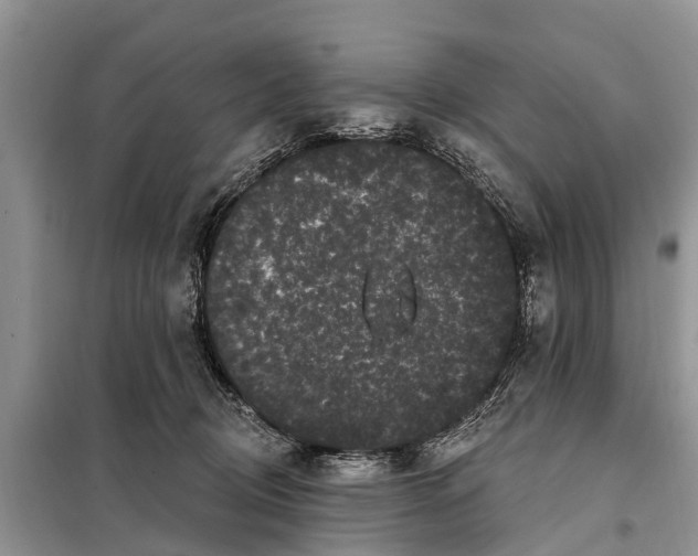 X0000097970370200804071104