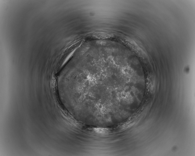 X0000097970371200804071105