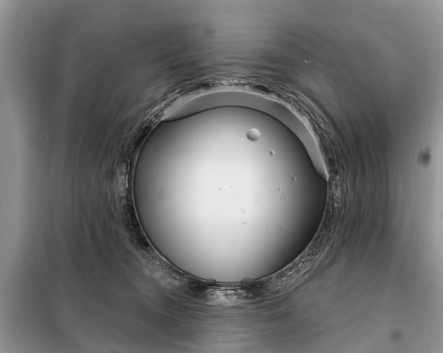 X0000097970372200804071105