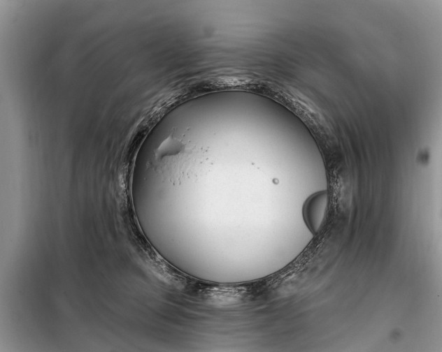 X0000097970373200804071105