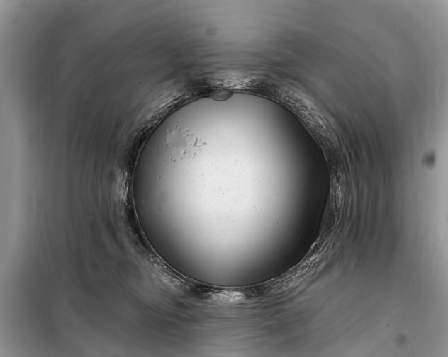 X0000097970374200804071105