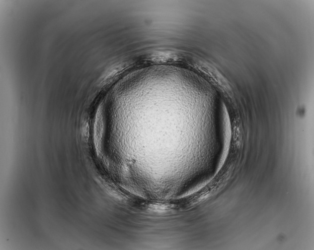 X0000097970375200804071105