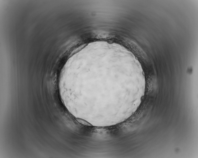 X0000097970376200804071105