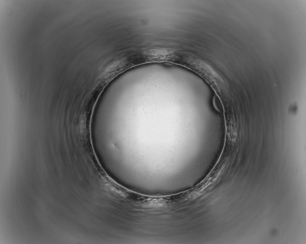 X0000097970377200804071105