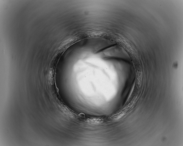 X0000097970378200804071105