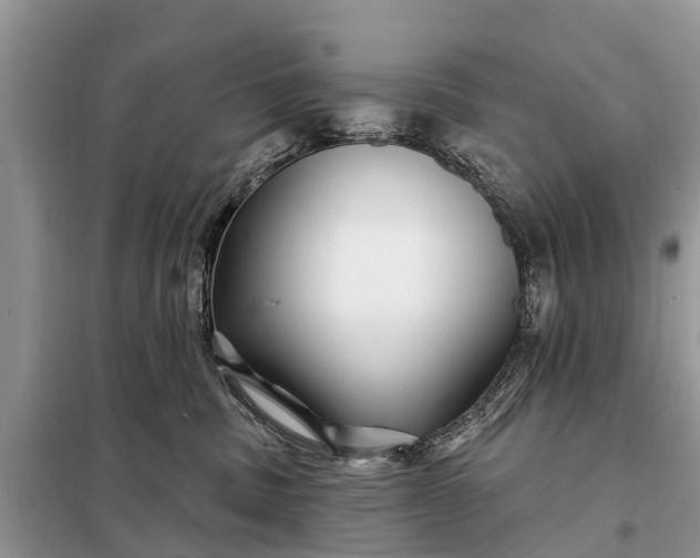 X0000097970379200804071105