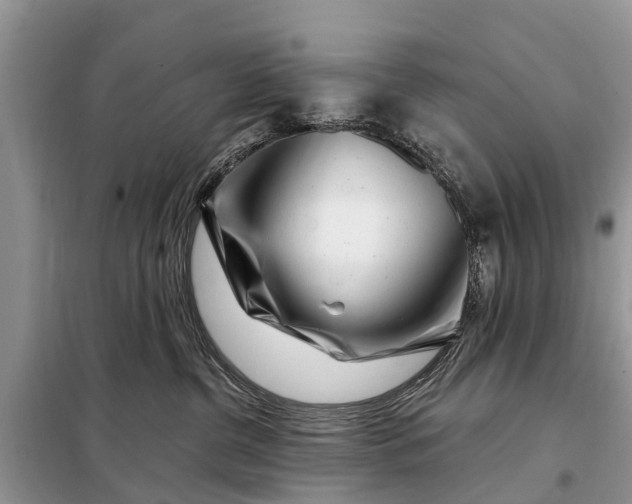 X0000097970380200804071105