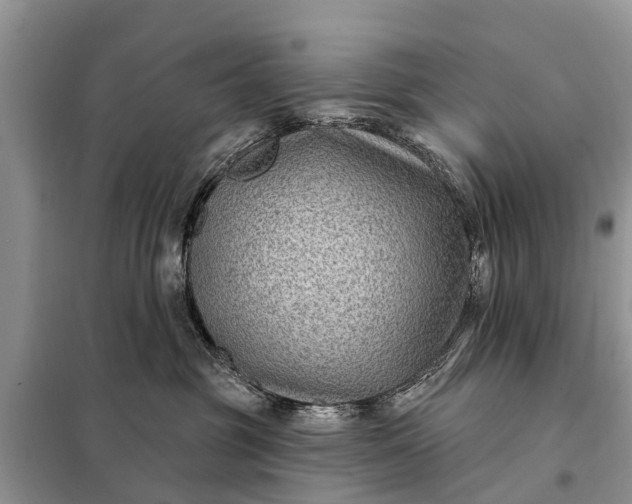 X0000097970381200804071105