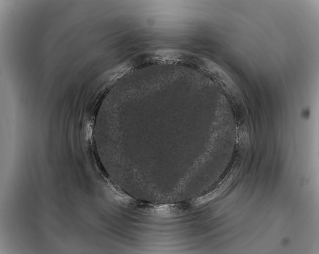 X0000097970382200804071105