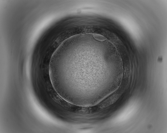 X0000097970383200804071105