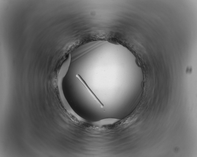 X0000097970384200804071105