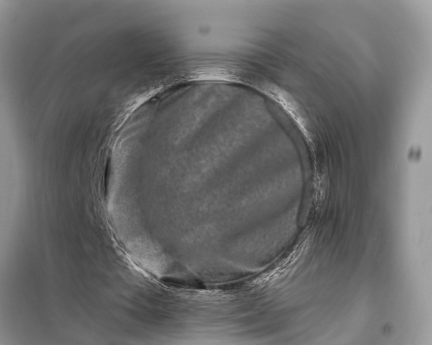 X0000097970385200804071104