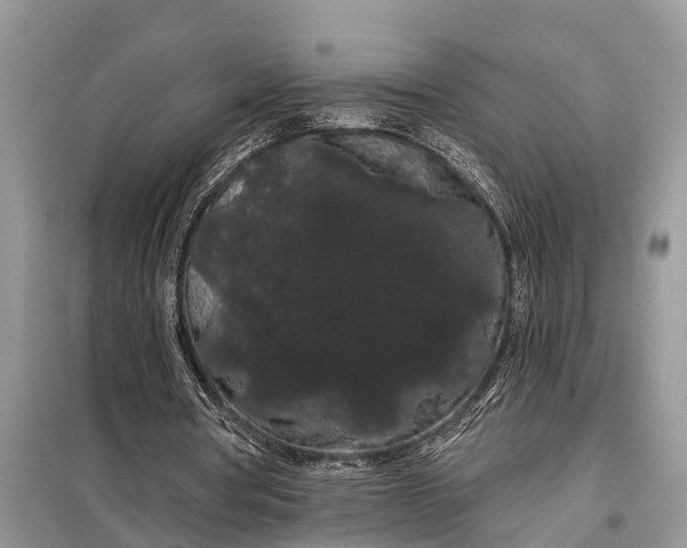 X0000097970386200804071104