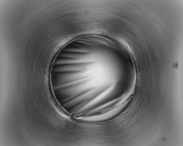 X0000097970389200804071104