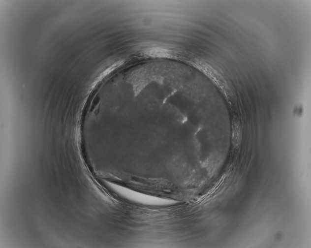 X0000097970390200804071104