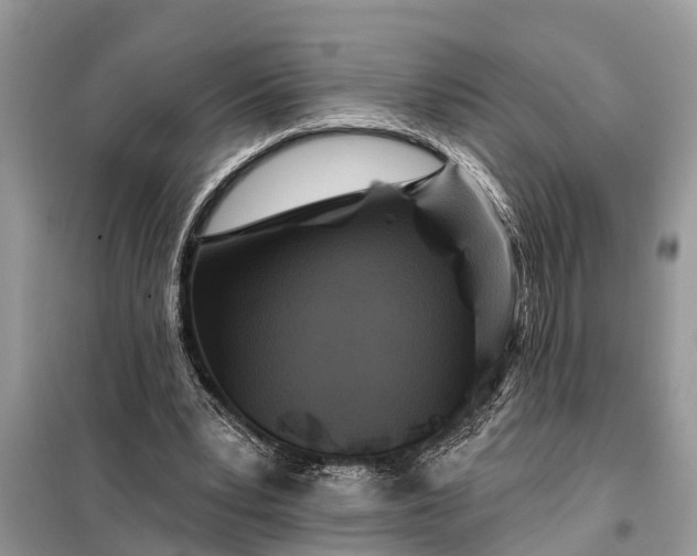 X0000097970391200804071104