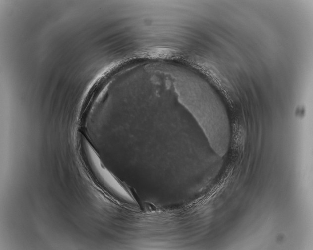 X0000097970392200804071104