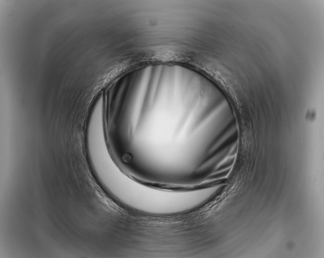 X0000097970393200804071104