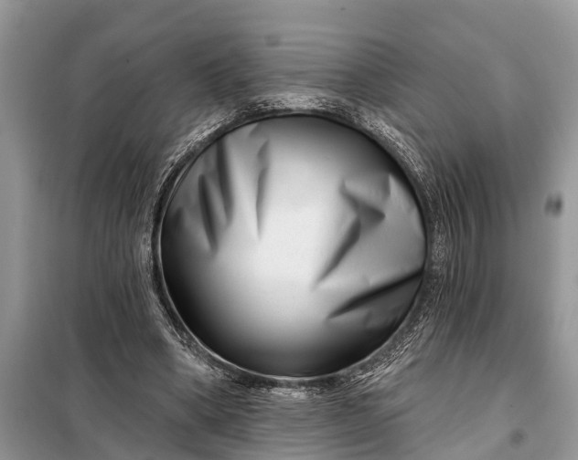 X0000097970394200804071104