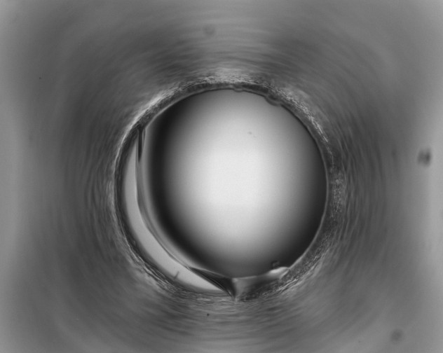 X0000097970395200804071104