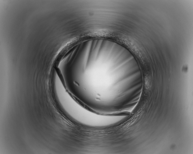 X0000097970396200804071104